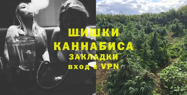 шишки Медногорск