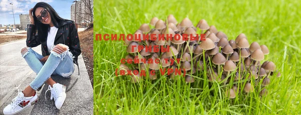 jwh Михайлов