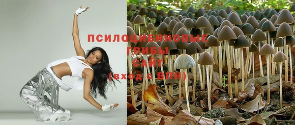 герыч Михайловск