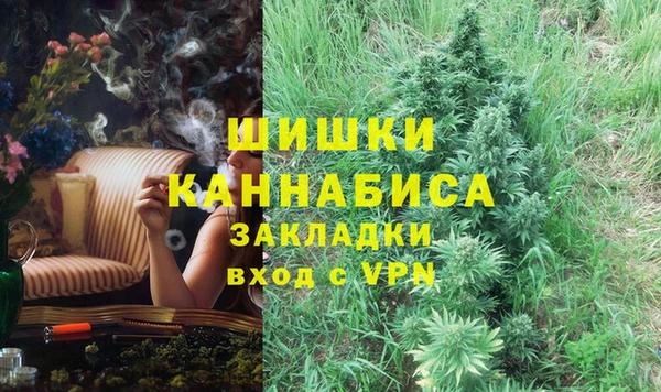 шишки Медногорск