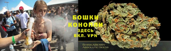 шишки Медногорск